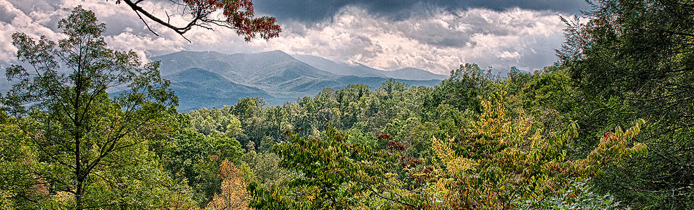 Smoky Mountain wedding